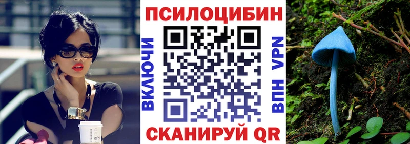 Купить закладки  Судак  Псилоцибиновые грибы GOLDEN TEACHER 